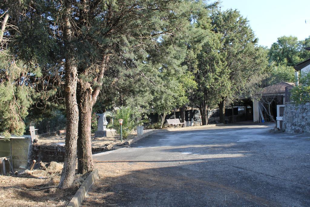 Casa Vacanza Etna ลิงกัวกลอสซา ภายนอก รูปภาพ